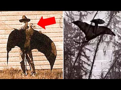 8 Real Life Sightings & Encounters With Prehistoric Creatures | Compilation - YouTube