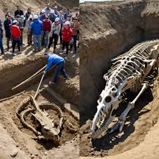 Nation stunned as giant dragon skeleton emerges on Indian riverbank after floods