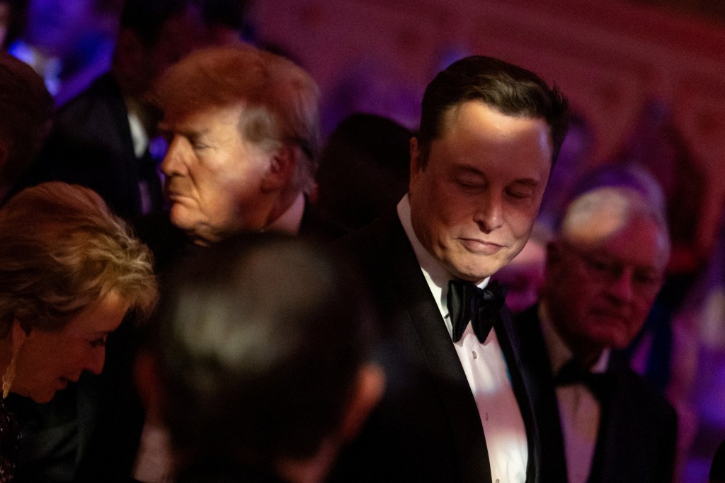 The Tesla and SpaceX chief executive has been a close confidant of Trump since his Nov. 5 election victory.